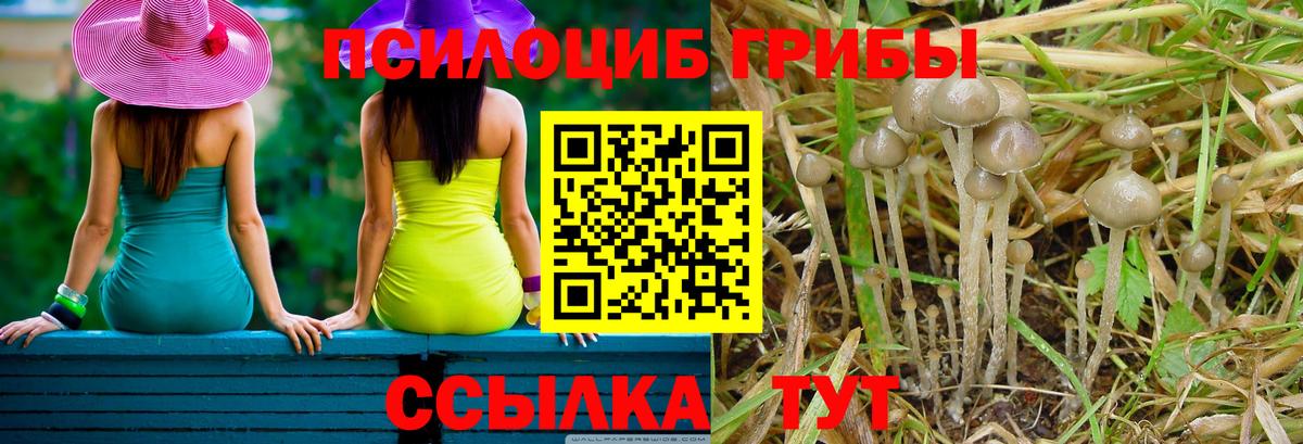 Псилоцибиновые грибы MAGIC MUSHROOMS Клинцы
